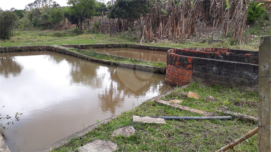 Foto REO1130069