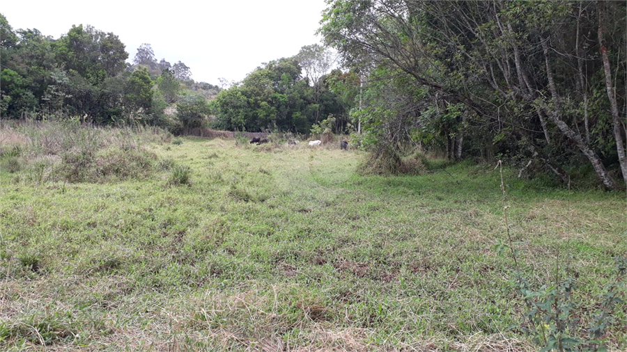 Foto REO1130069