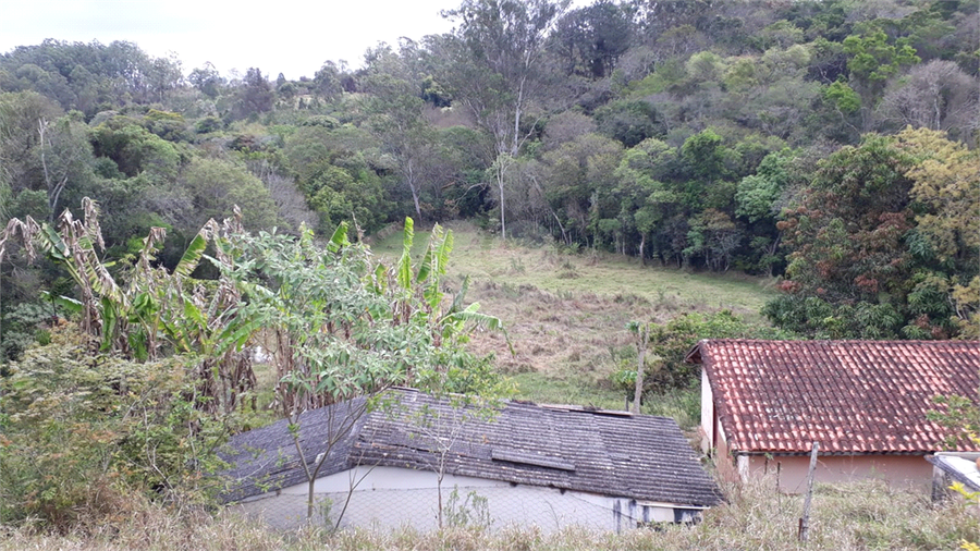 Foto REO1130069