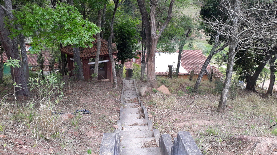 Foto REO1130069