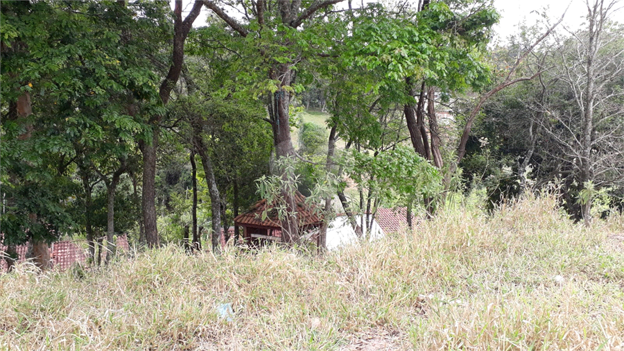 Foto REO1130069