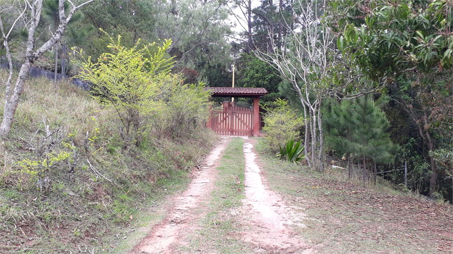 Foto REO1130069