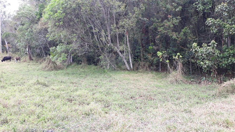 Foto REO1130069