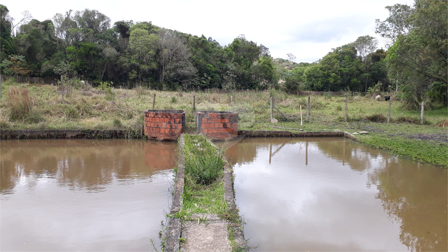 Foto REO1130069