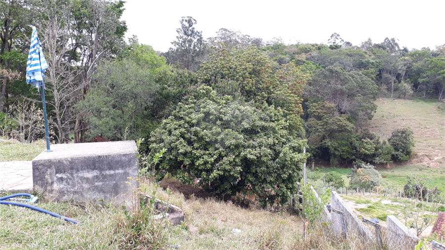 Foto REO1130069