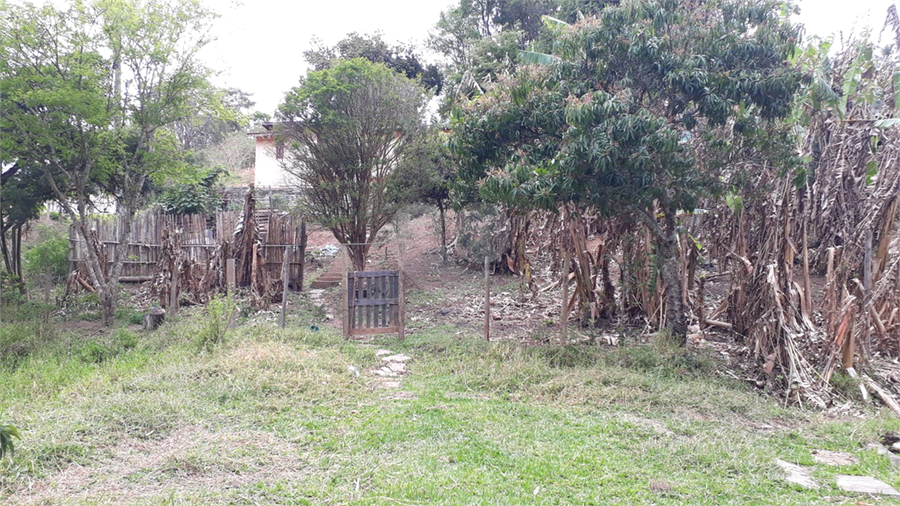 Foto REO1130069