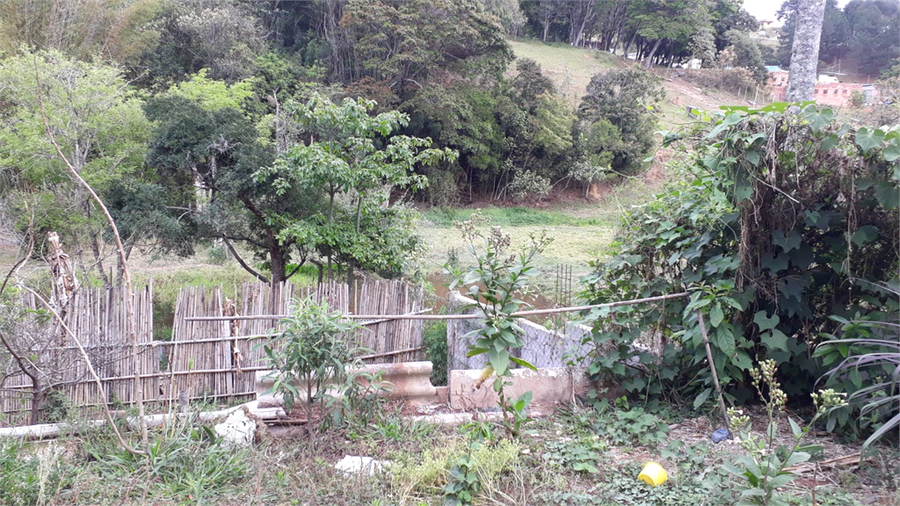 Foto REO1130069