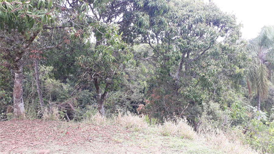Foto REO1130069