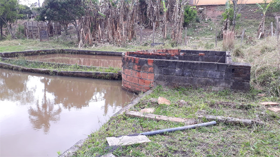 Foto REO1130069