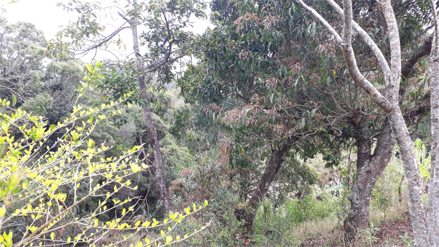 Foto REO1130069