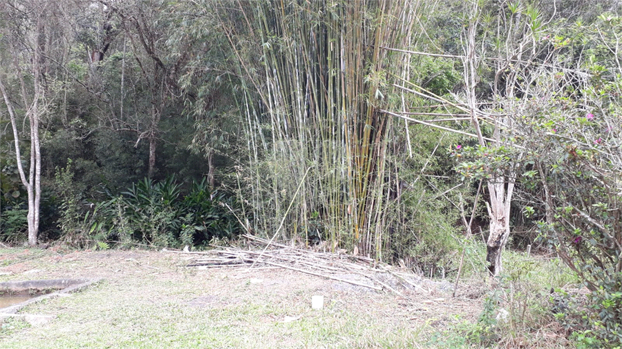 Foto REO1130069