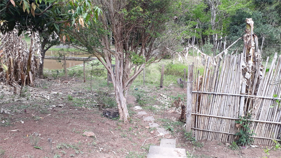 Foto REO1130069