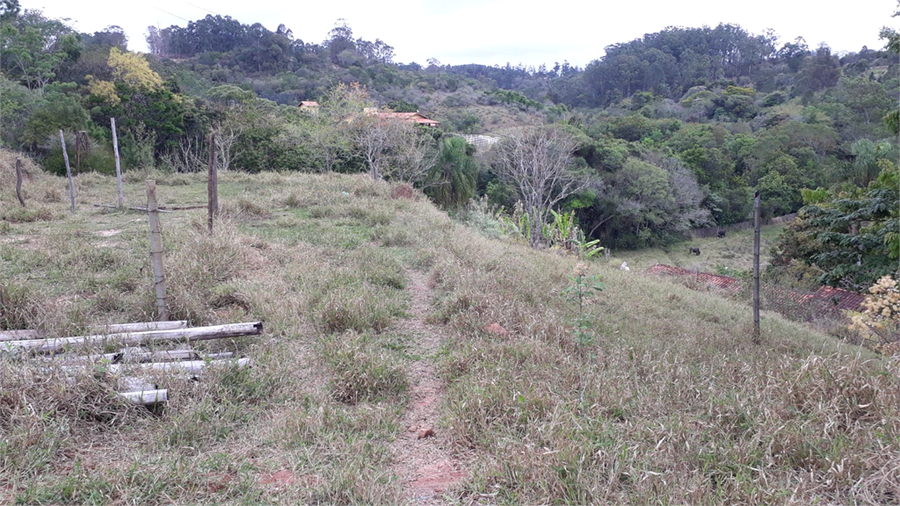 Foto REO1130069