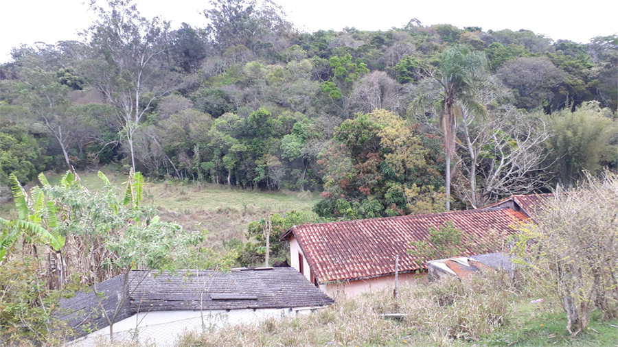 Foto REO1130069