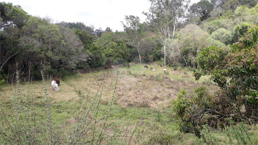 Foto REO1130069