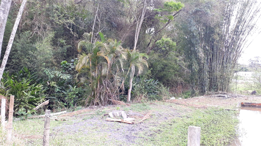 Foto REO1130069