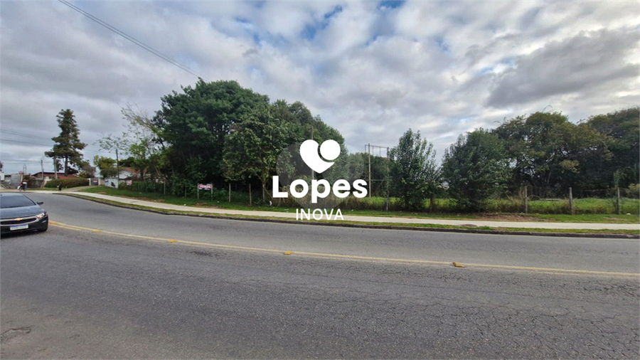 Foto REO1130093