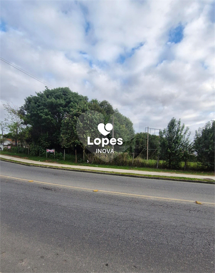 Foto REO1130093