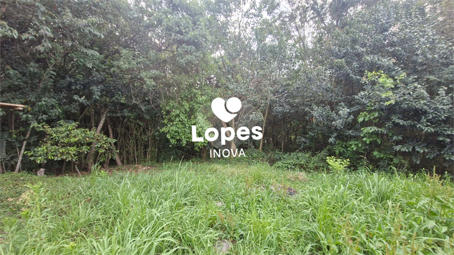 Foto REO1130093