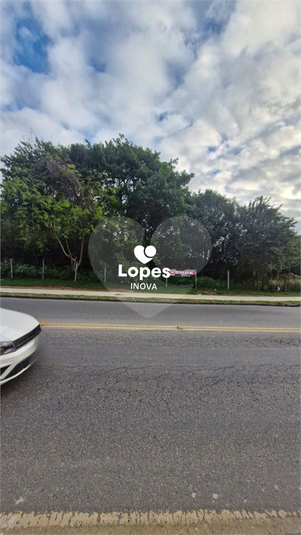 Foto REO1130093