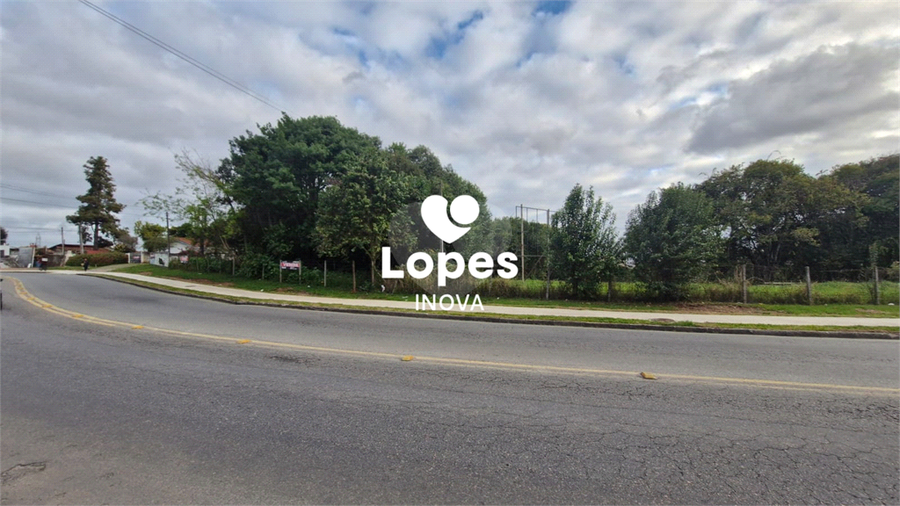 Foto REO1130093