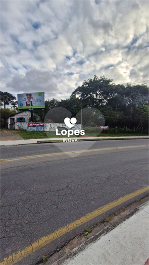 Foto REO1130093