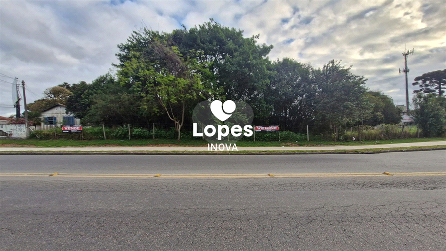 Foto REO1130093