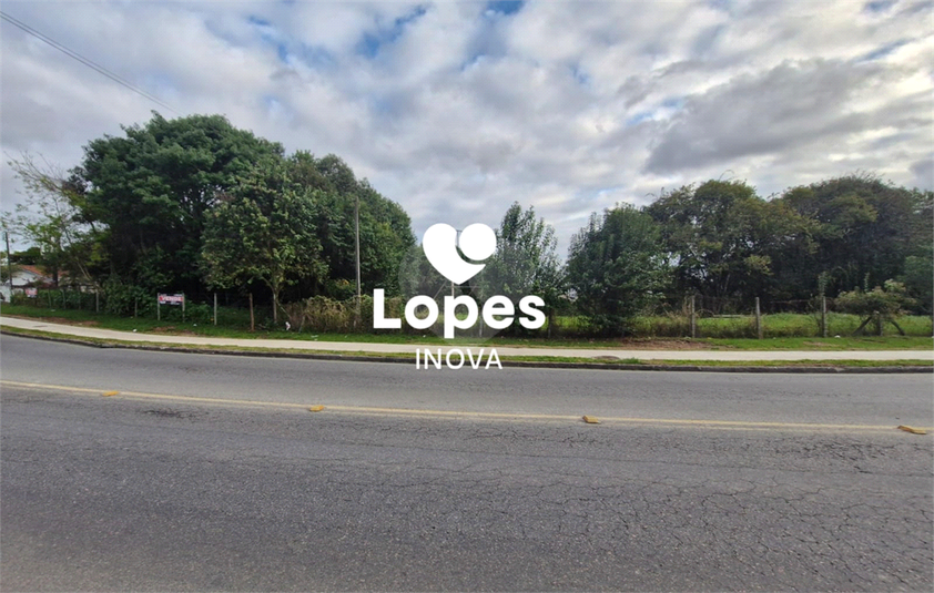 Foto REO1130093