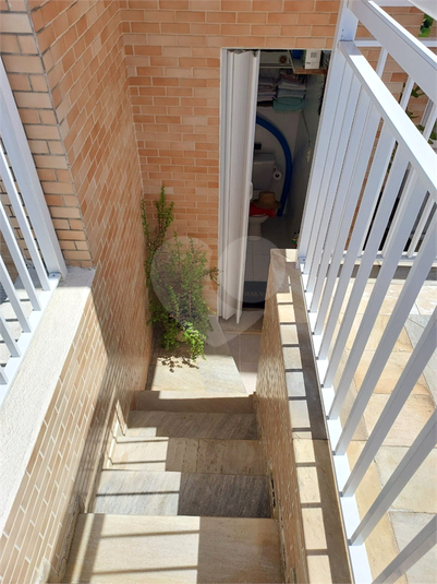 Foto REO1130149