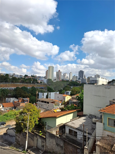 Foto REO1130158