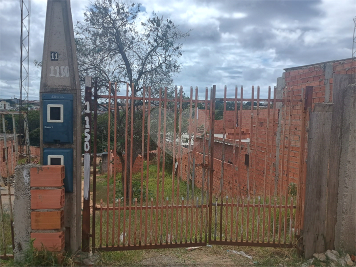 Foto REO1130175