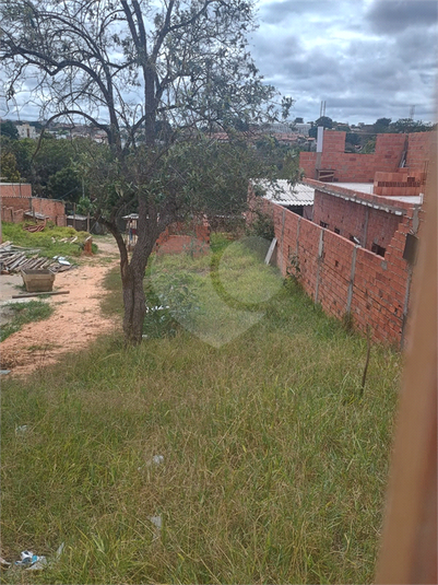 Foto REO1130175