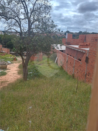 Foto REO1130175