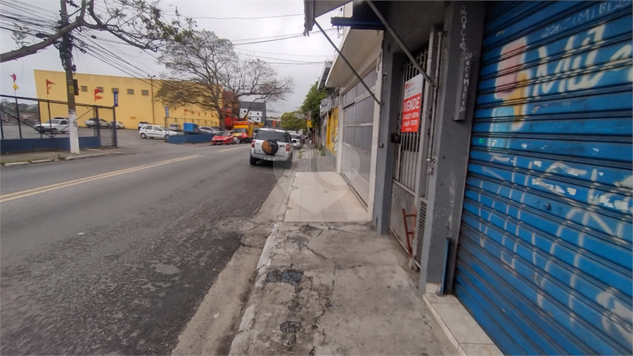 Foto REO1130196