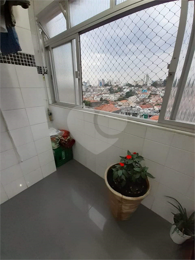 Foto REO1130216