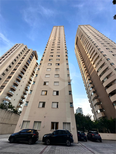 Foto REO1130247