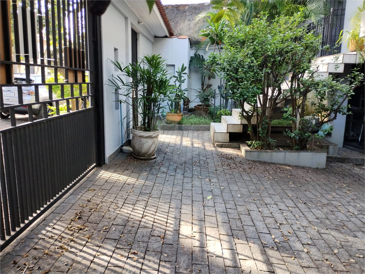 Foto REO1130254