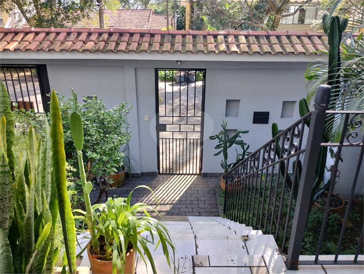 Foto REO1130254