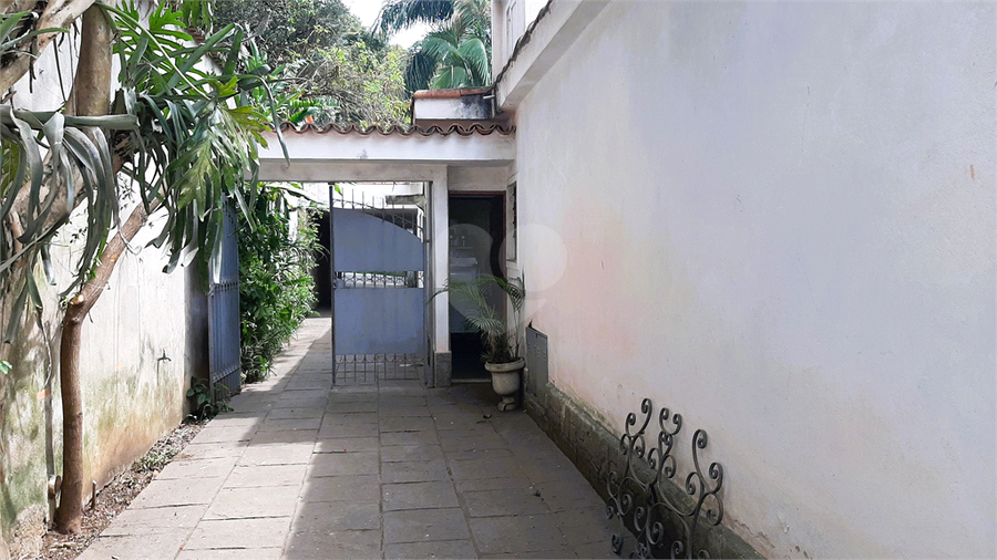 Foto REO1130256