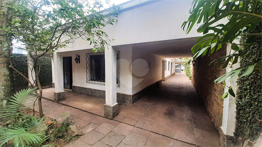 Foto REO1130256