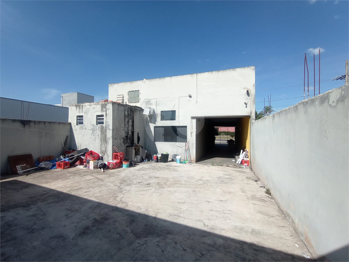 Foto REO1130258