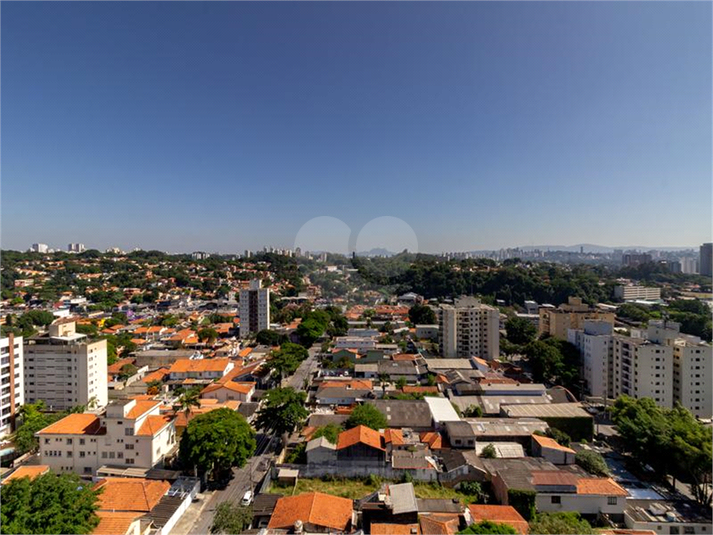 Foto REO1130260