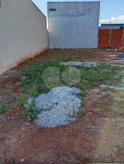 Foto REO1130267