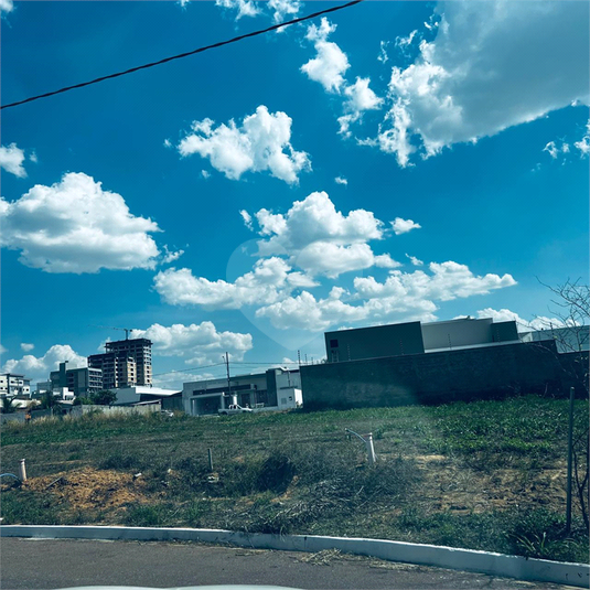 Foto REO1130269