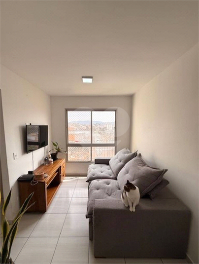 Foto REO1130276