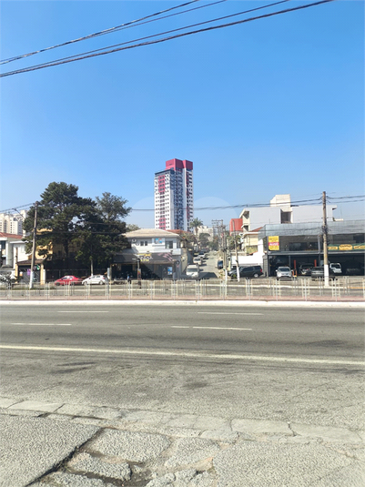 Foto REO1130299