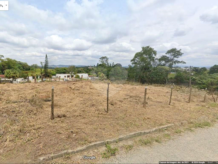 Foto REO1130332