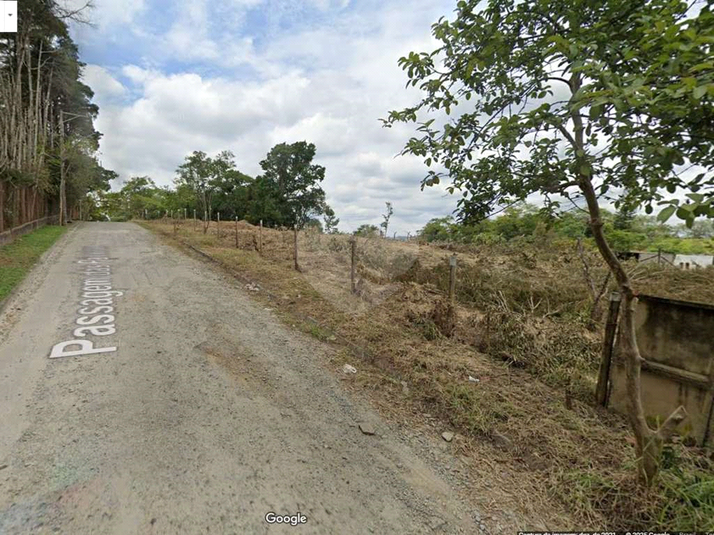 Foto REO1130332