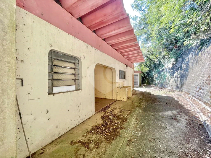 Foto REO1130333