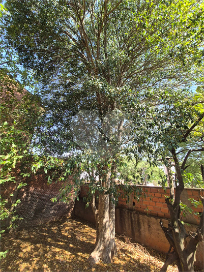 Foto REO1130334